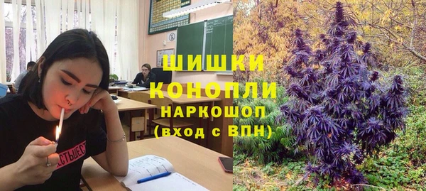 молекула духа Балахна