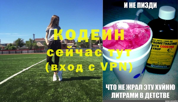 молекула духа Балахна