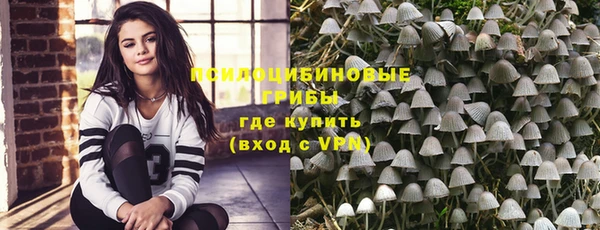 молекула духа Балахна