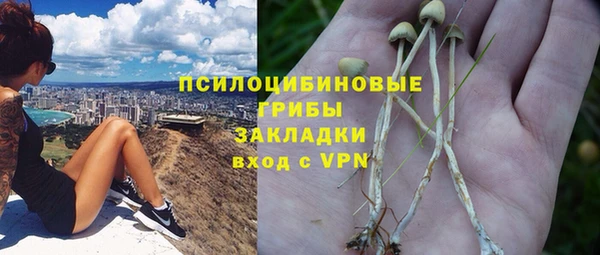 дживик Балабаново
